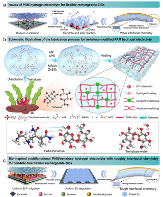 лڡƿƸŶAngewandte Chemie ֦пӵȡ½չ